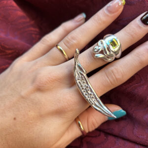 Chili Ring